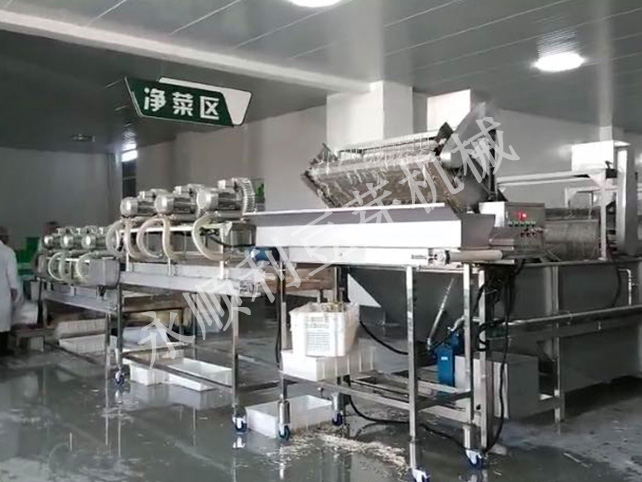 內蒙古草原紅太陽集團丁總日產50噸全自動芽菜設備